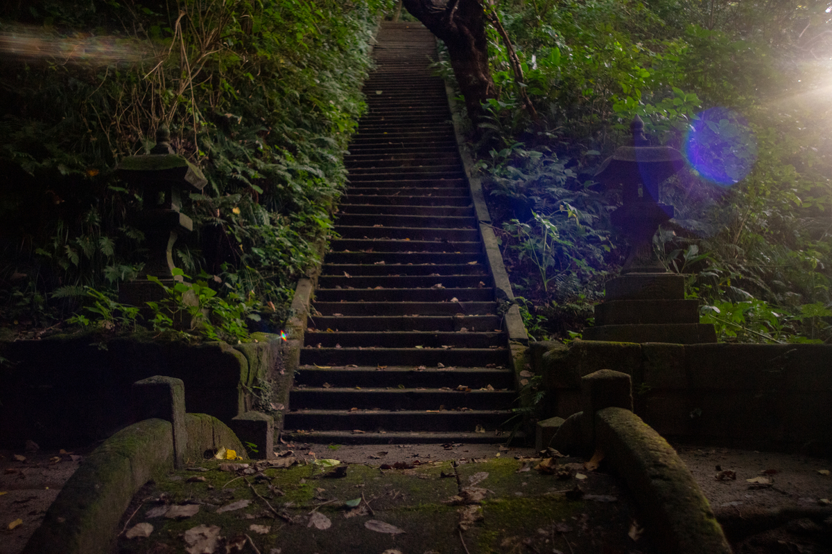 f:id:kikutabayashi:20200504164818j:plain f:id:kikutabayashi:20200504164818j:plain