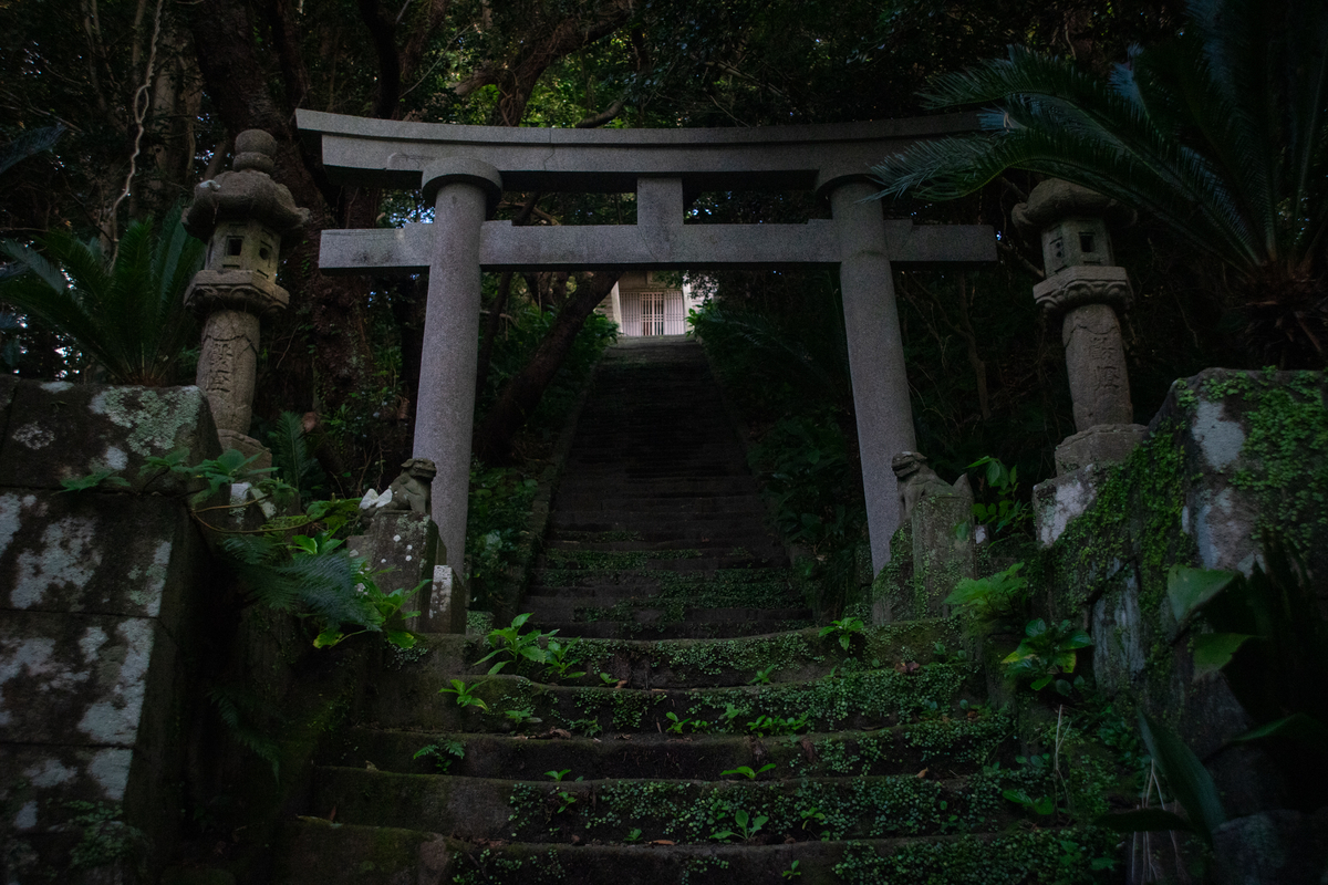 f:id:kikutabayashi:20200504164853j:plain f:id:kikutabayashi:20200504164853j:plain