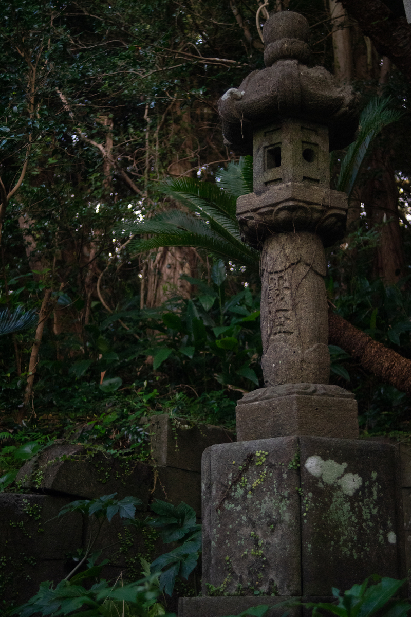 f:id:kikutabayashi:20200504164928j:plain f:id:kikutabayashi:20200504164928j:plain