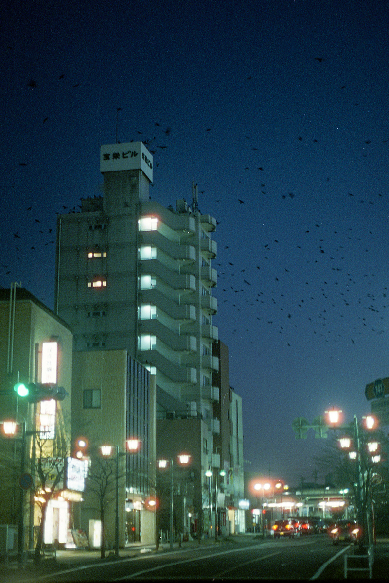 f:id:kikutabayashi:20200511010510j:plain f:id:kikutabayashi:20200511010510j:plain