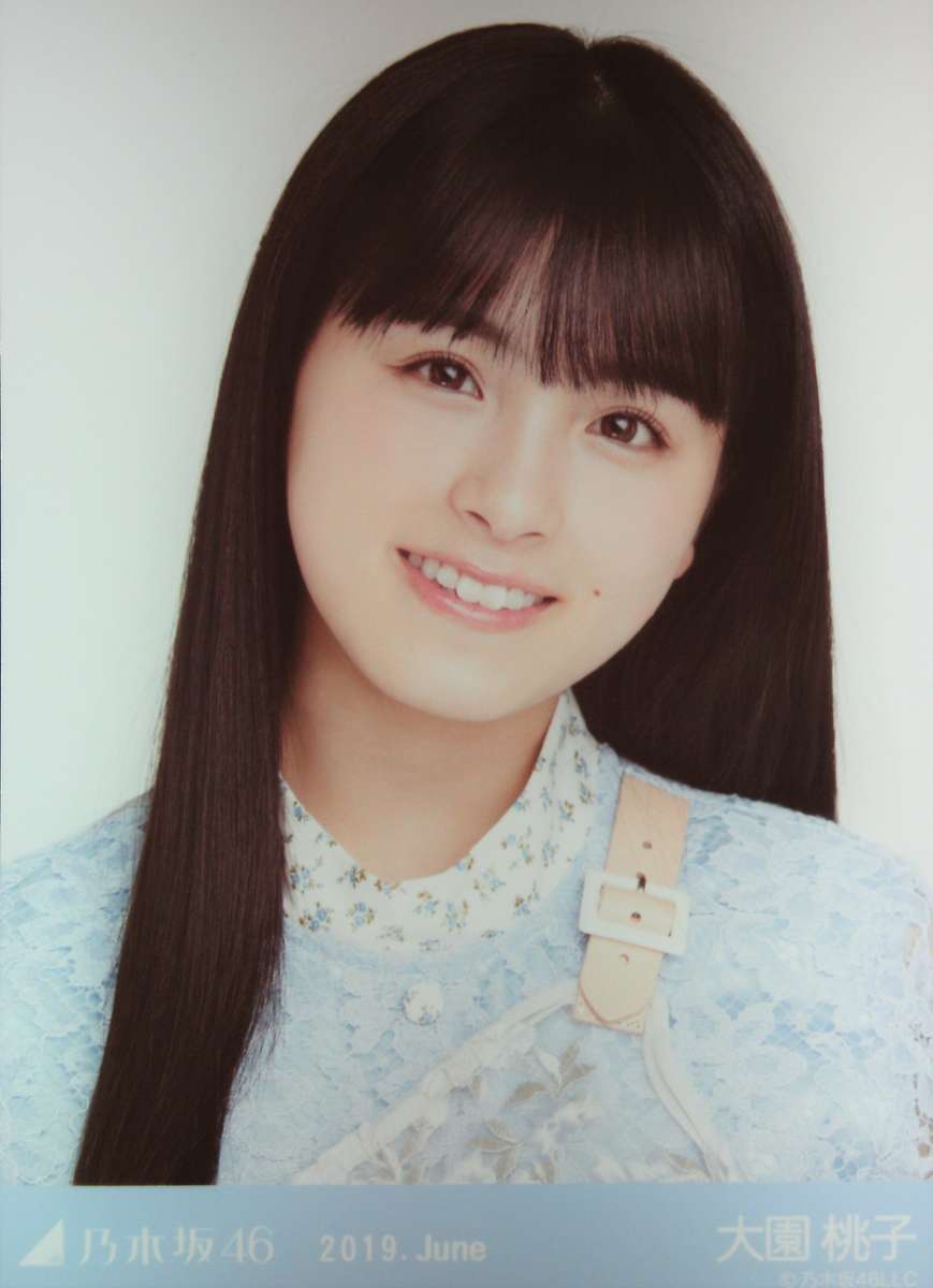 乃木坂46 大園桃子さんの生写真を管理するために買ったもの - も