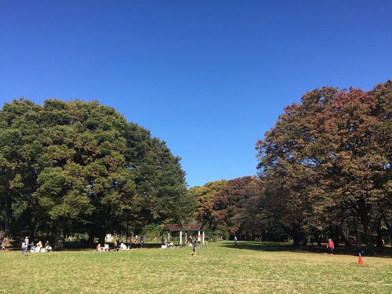 f:id:kikutaro777:20161103201939j:plain f:id:kikutaro777:20161103201939j:plain