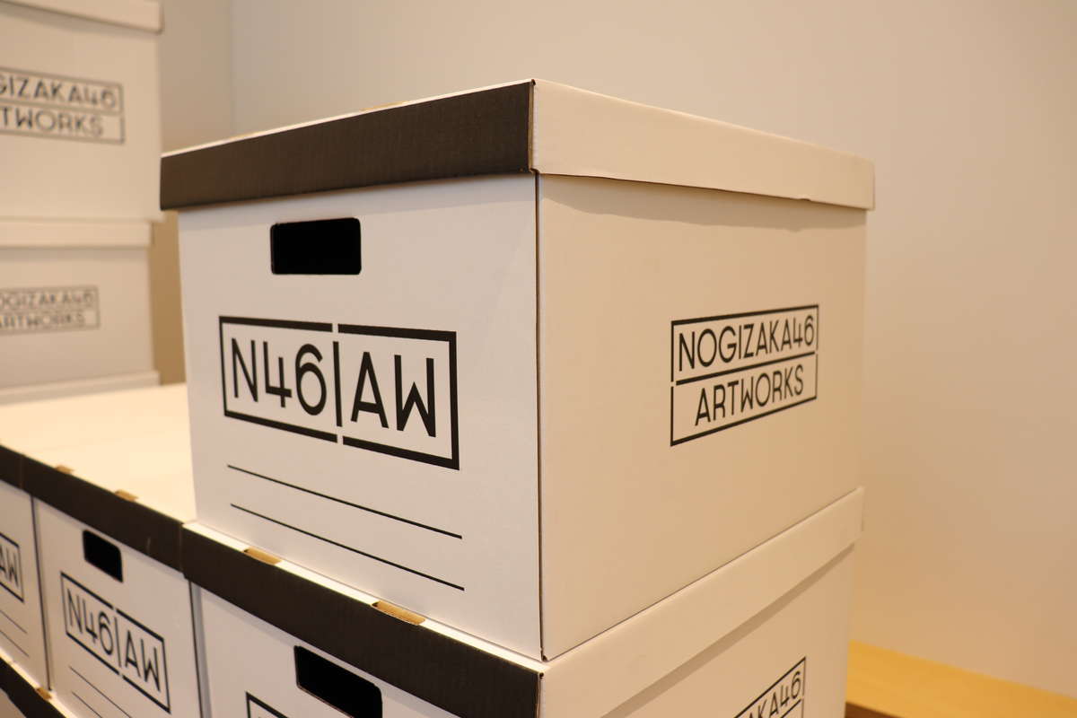 f:id:kikutaro777:20190323093733j:plain N46 AW ストレージボックス