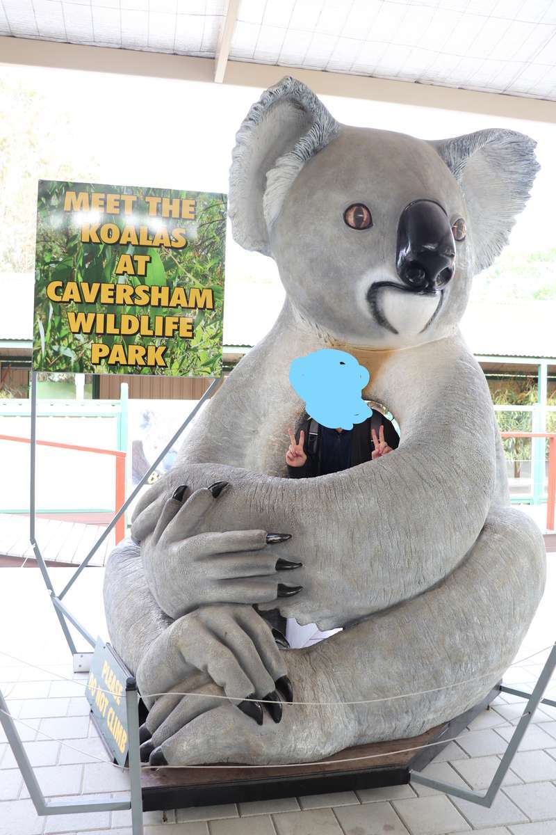 f:id:kikutaro777:20190430100051j:plain 巨大なコアラ人形