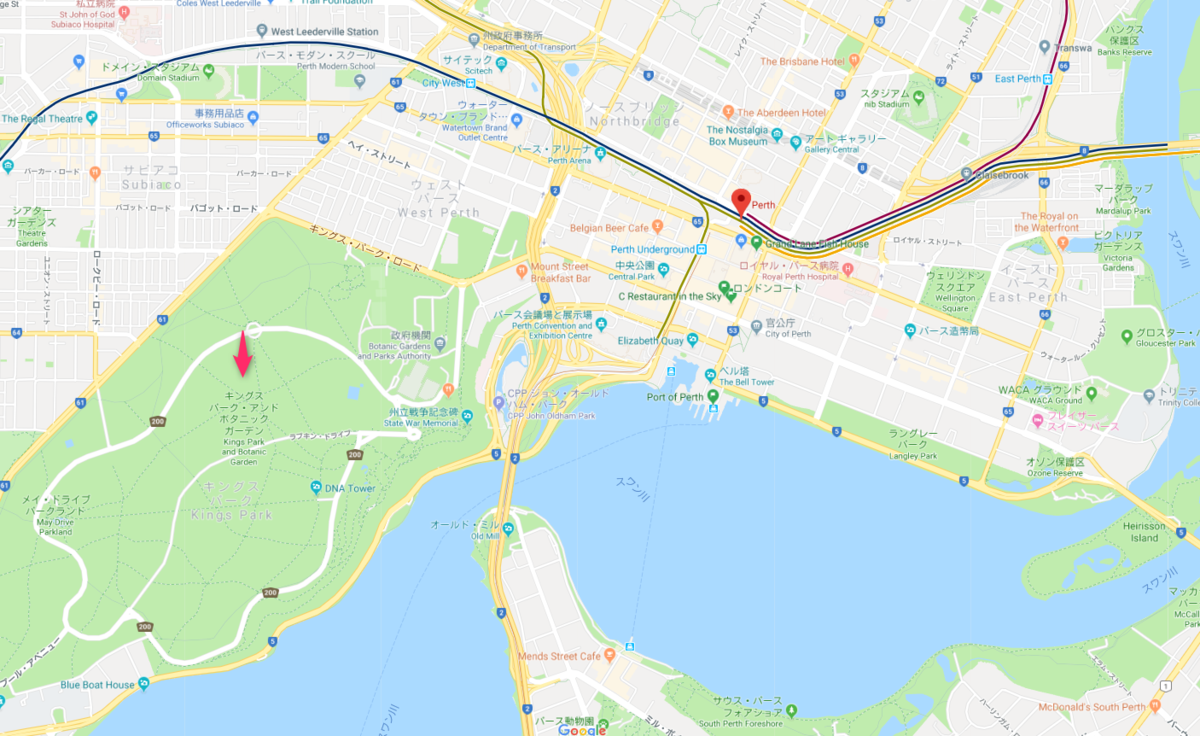 f:id:kikutaro777:20190505225831p:plain キングスパースの場所