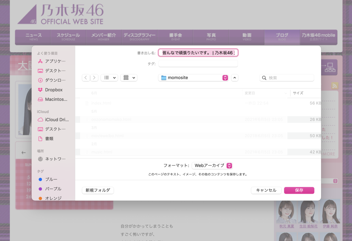 桃ちゃんのブログを保存する方法 ももさいと運営ブログ