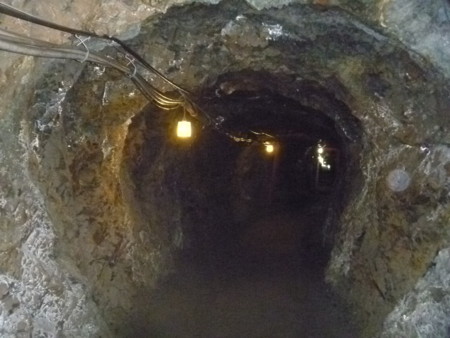 f:id:kikuties:20110721114930j:image f:id:kikuties:20110721114930j:image