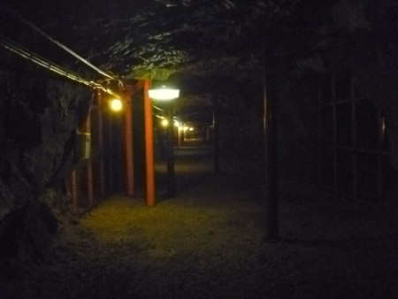 f:id:kikuties:20110721115841j:image f:id:kikuties:20110721115841j:image