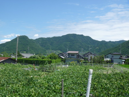 f:id:kikuties:20110721121429j:image f:id:kikuties:20110721121429j:image