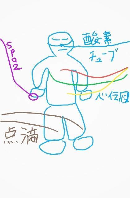 f:id:kikuty64:20190125150349j:image f:id:kikuty64:20190125150349j:image