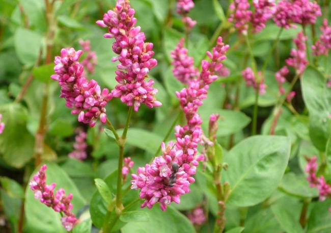 f:id:kikuutan:20161116215923j:plain f:id:kikuutan:20161116215923j:plain