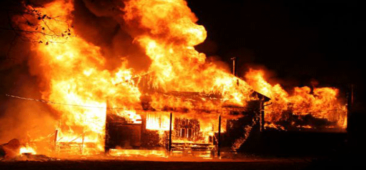 f:id:kikuutan:20180621203818g:plain f:id:kikuutan:20180621203818g:plain