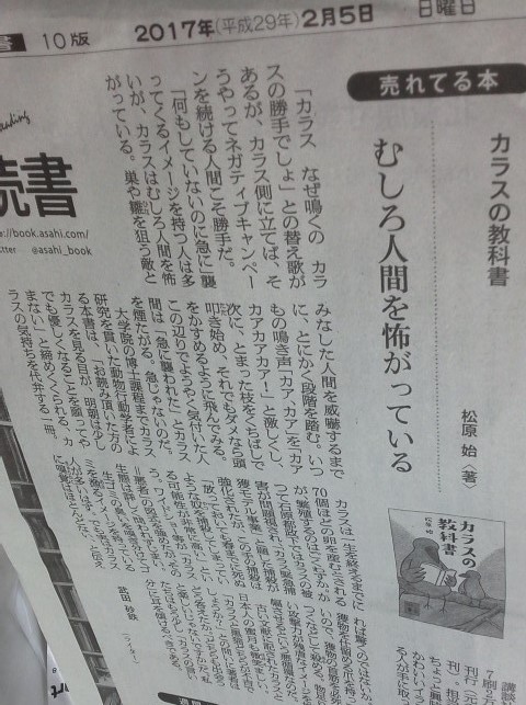 イメージ 10