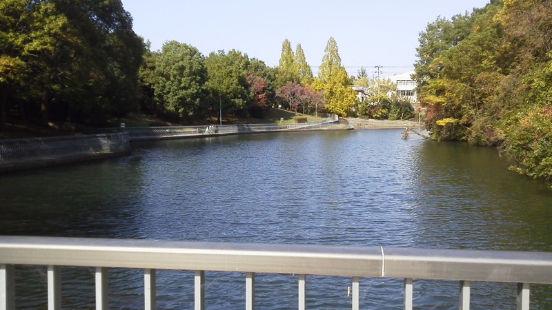 イメージ 4
