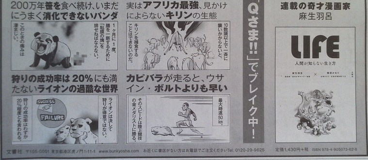 イメージ 6