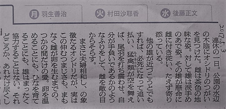 イメージ 4