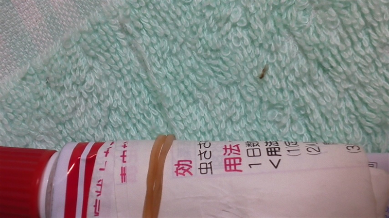 イメージ 1
