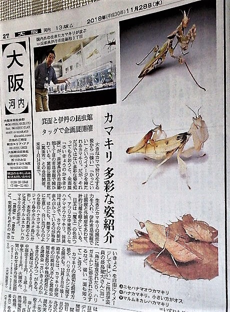 イメージ 11