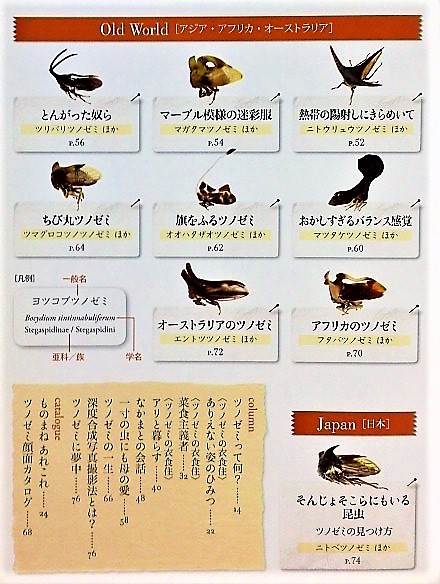 イメージ 4