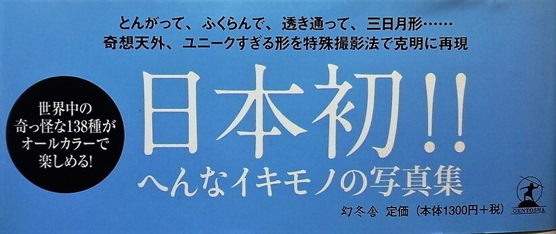 イメージ 5