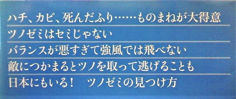 イメージ 6