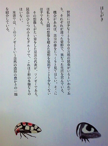 イメージ 9