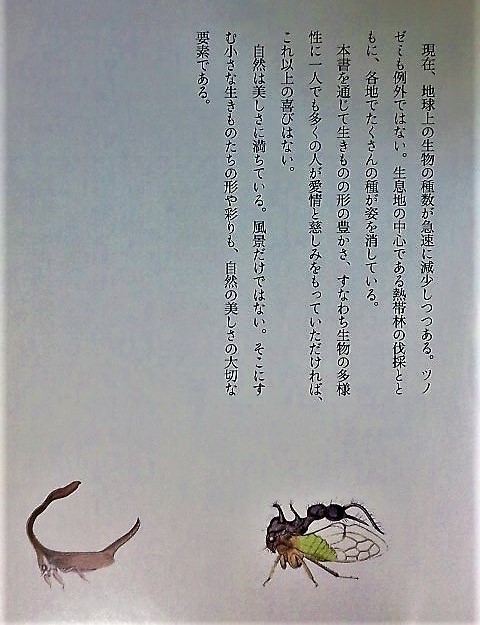 イメージ 10