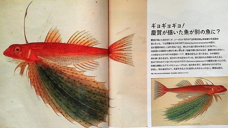 イメージ 6