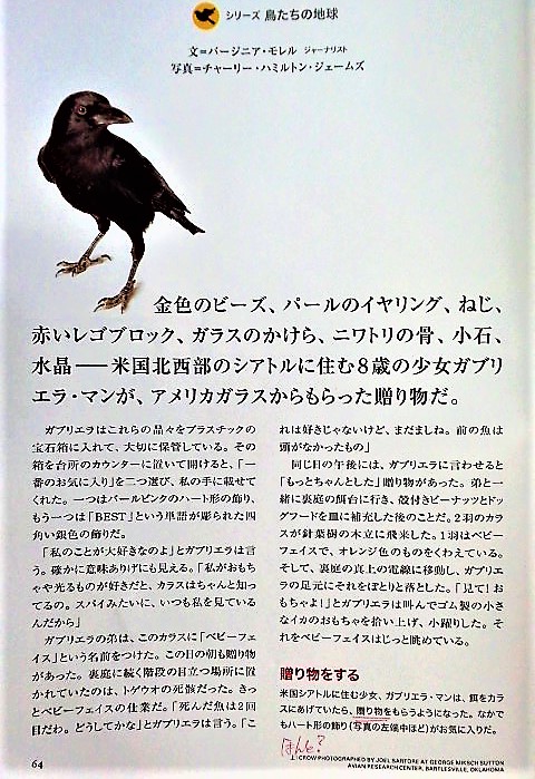 イメージ 2