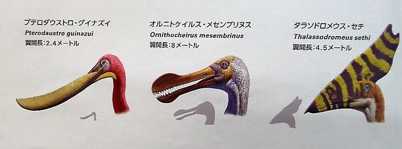 イメージ 6