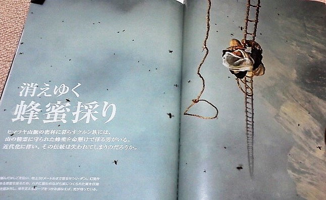 イメージ 10