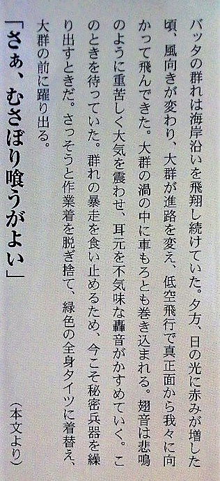 イメージ 3