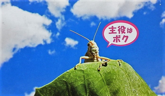 イメージ 4
