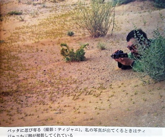 イメージ 6