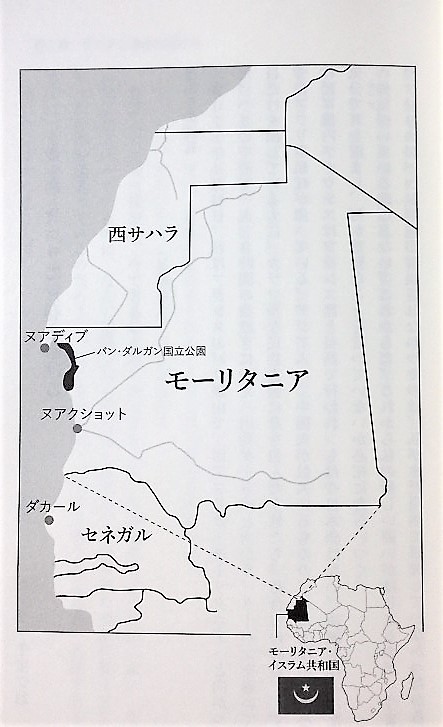 イメージ 8