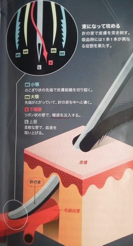 イメージ 3