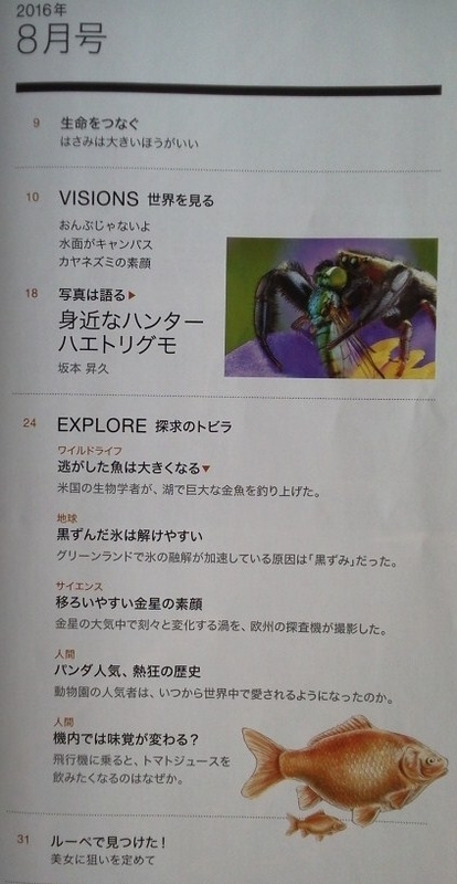 イメージ 4