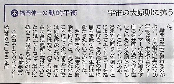 イメージ 7