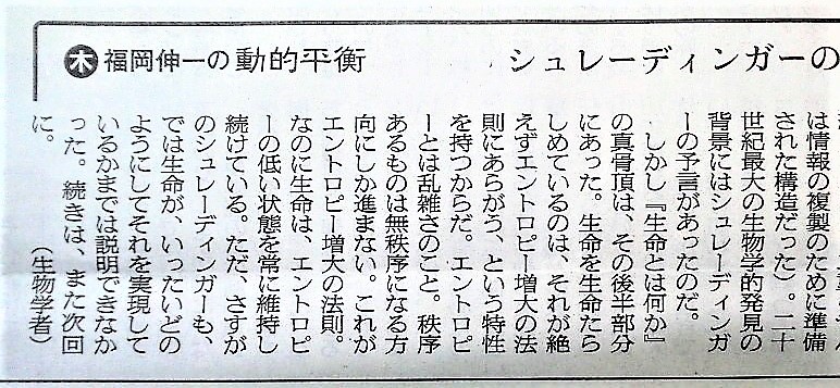 イメージ 8