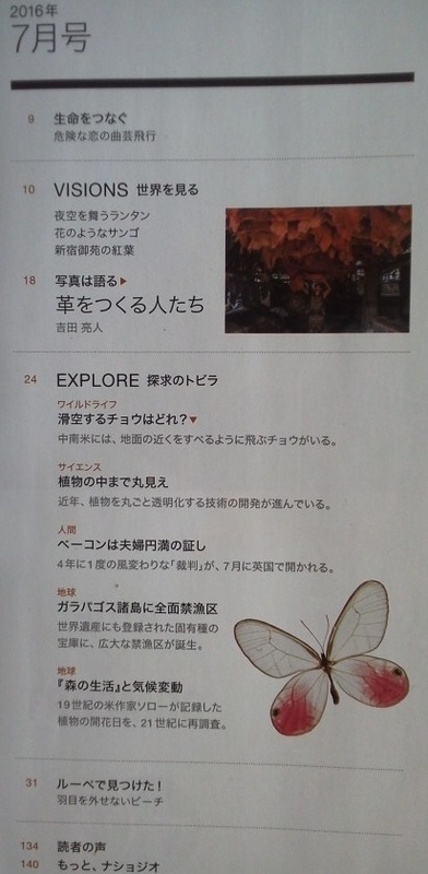 イメージ 4