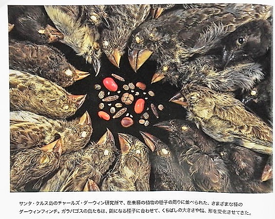 イメージ 2