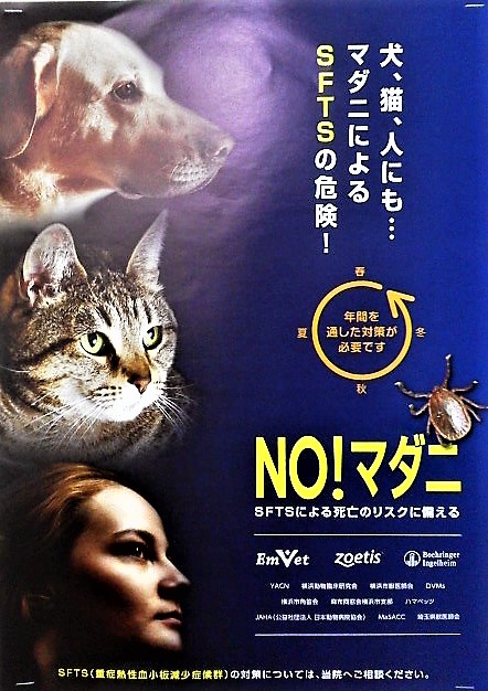 f:id:kikuy1113:20200328171418j:plain