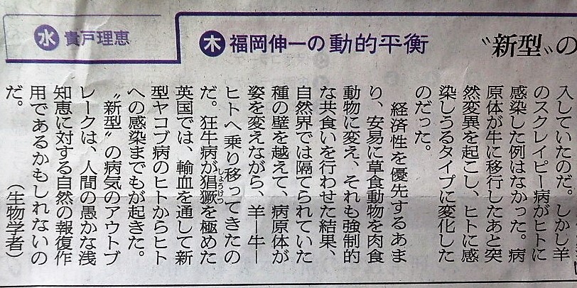 f:id:kikuy1113:20200411141746j:plain