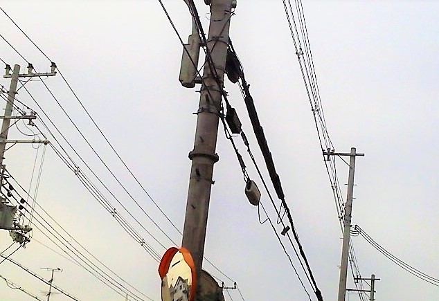 f:id:kikuy1113:20200525183920j:plain
