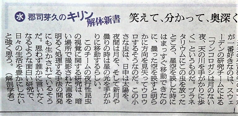 f:id:kikuy1113:20201005225534j:plain
