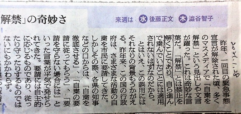 f:id:kikuy1113:20210205001413j:plain