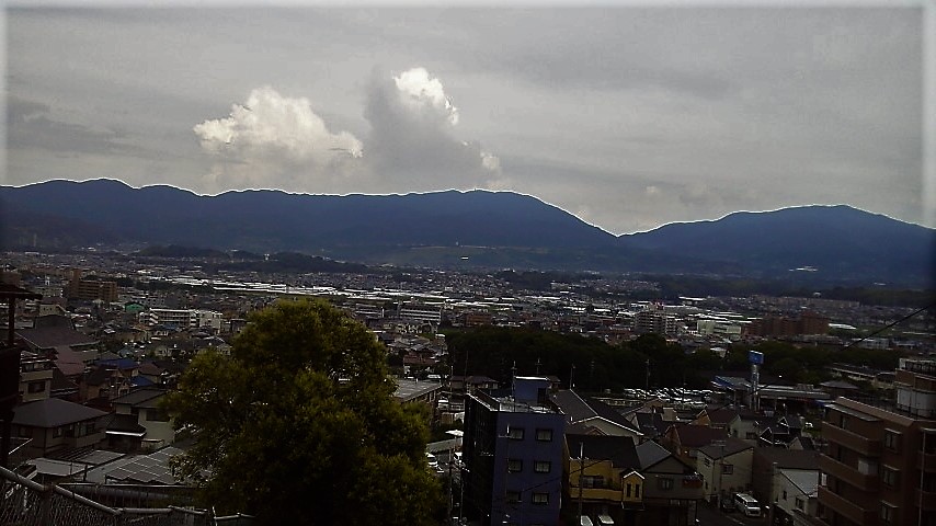f:id:kikuy1113:20210721143251j:plain