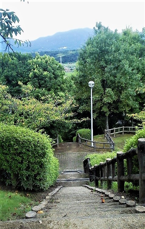 f:id:kikuy1113:20210830010231j:plain