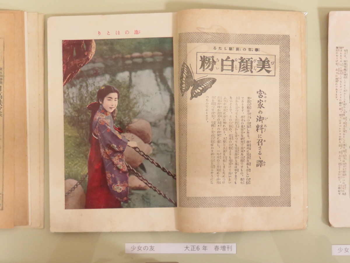 f:id:kikuyo-lib:20210611125044j:plain