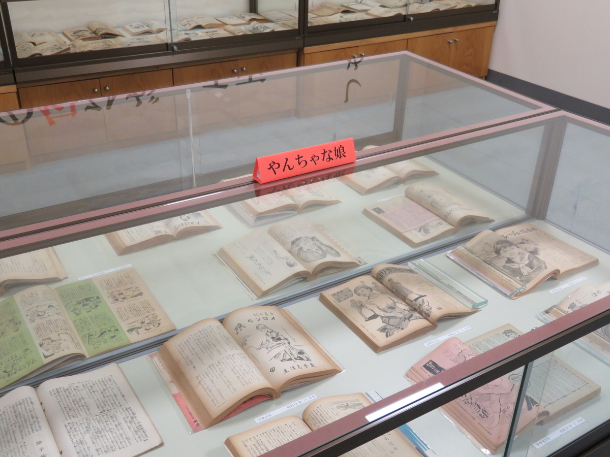 f:id:kikuyo-lib:20210717161743j:plain